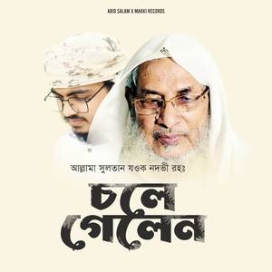 চলে গেলেন আল্লামা সুলতান যওক নদভী রহঃ