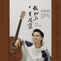 假如不曾相遇 (DJ阿卓版)