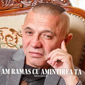 Am ramas cu amintirea ta (feat. Nicolae Guta)