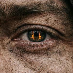 Dębowe Tarcze - Synowie Wichru