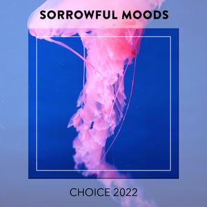 Istantanea (Radio Vrs.)