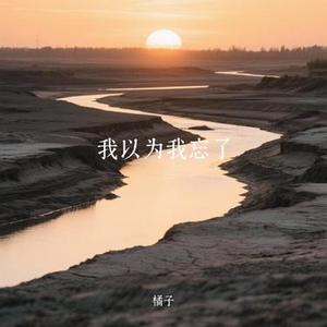 我以为我忘了 (Remix)