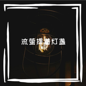 流萤提着灯盏