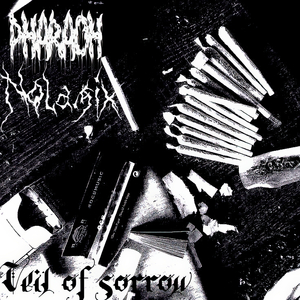 Veil of Sorrow