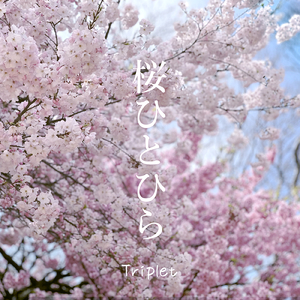 桜ひとひら (2024 new-recording)