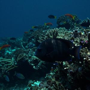 可我在十六岁遇到了你