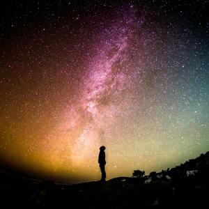 自述（prod by FRESH_ye&Lion_Z）