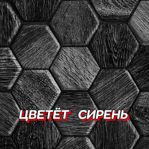 ЦВЕТЁТ СИРЕНЬ