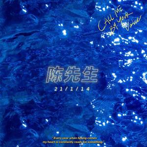 陈先生（翻自 朱兴东.）