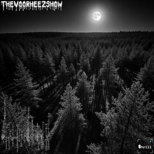 Gemini (feat. The Voorheez Show)