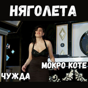 Мокро коте