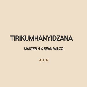 Tirikumhanyidzana