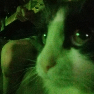 постиг нирвану