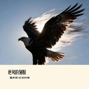 逆风的翅膀