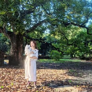 公主的魔法项链