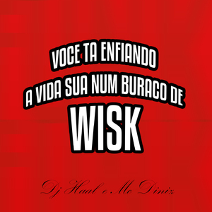 voce ta enfiando a vida sua num buraco de wisk