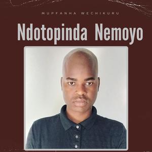 Ndotopinda Nemoyo