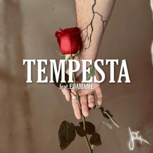 TEMPESTA (feat. Edamame)