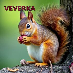 VEVERKA