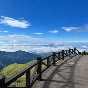 寻找失去的春天