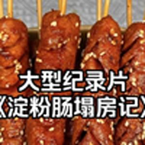 大型纪录片《淀粉肠塌房记》