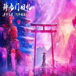 辞九门回忆 DJ 【误闯天家 新抖音Dj歌曲】