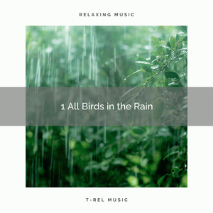 Nice and Meaningful Rain for You to Rest Now