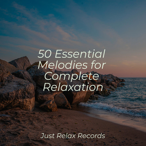 Ocean's Wakeful Gaze