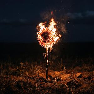 BURN BURN BURN (feat. VAIDD)