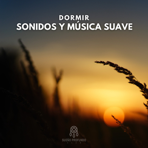 Dormir: Sonidos y Música Suave (P01)