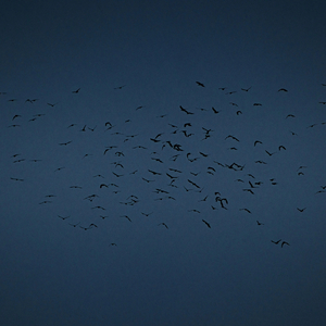 태극기 휘날리며 프롤로그（太极旗飘扬）小号版