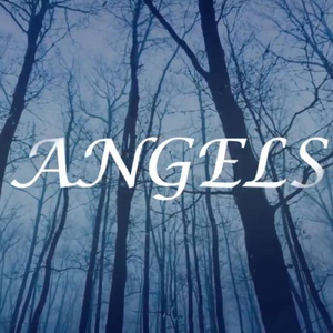 Angels (feat. Vera Ermilina)