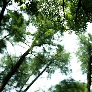 leave［prod.cian］