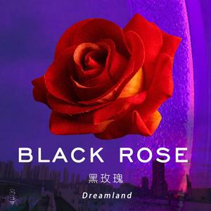 黑玫瑰