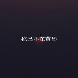 你已不在黄昏