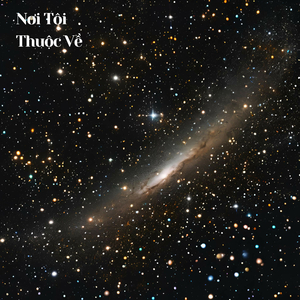 Nơi Tôi Thuộc Về