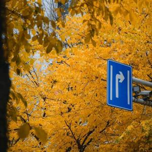 我还记得那天（yccc)