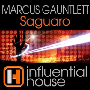 Saguaro (Grayson P Remix)