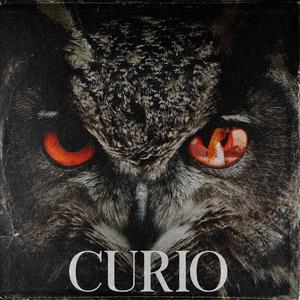 Curio (Cinematic Remix) (Cinematic Remix)