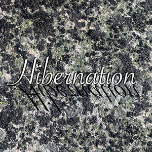 Hibernation