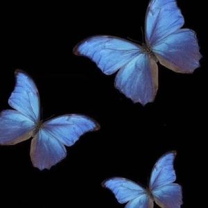 《Who Are You》翻唱