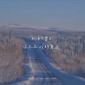Froggy-上海下雪了你不在我的身边(Remix)