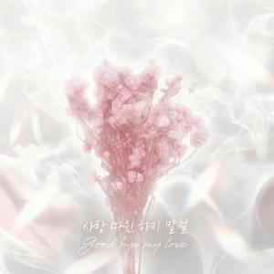 사랑 따윈 하지 말걸