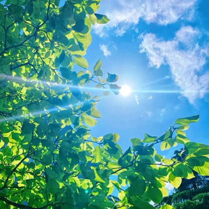 愉快的周末（钢琴版）