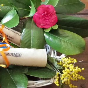 Pericote de Pimiango