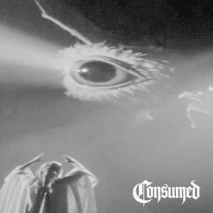 Consumed