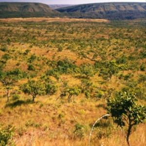 Cerrados (2002) - para Dois Violinos A