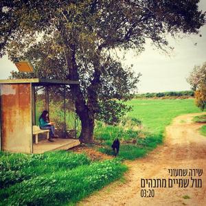 מול שמיים מתכהים