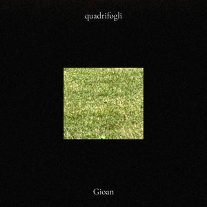 Quadrifogli
