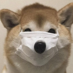 失忆（伤感版）